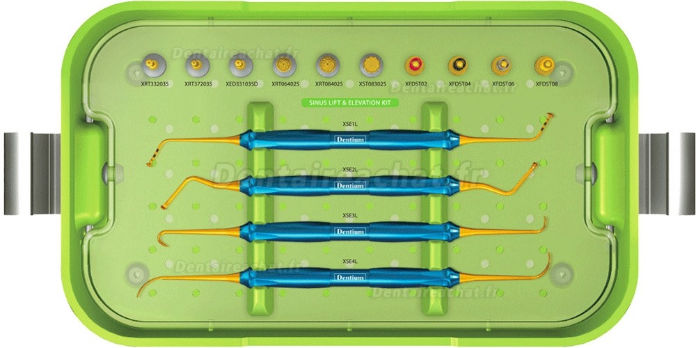 Kit d'instruments pour chirurgie dentaire Dentium DASK